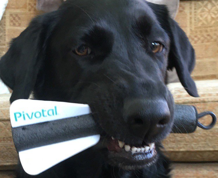 Postgres Conf 2018 Musings